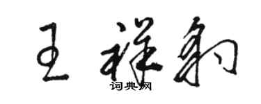 駱恆光王祥豹草書個性簽名怎么寫