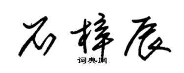 朱錫榮石梓辰草書個性簽名怎么寫