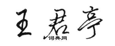 駱恆光王君亭行書個性簽名怎么寫