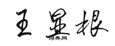 駱恆光王顯根行書個性簽名怎么寫