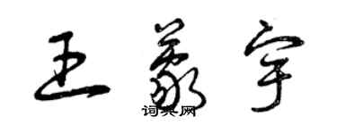 曾慶福王蒙宇草書個性簽名怎么寫