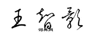 梁錦英王智影草書個性簽名怎么寫