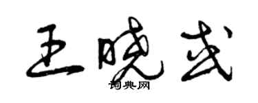 曾慶福王曉或草書個性簽名怎么寫