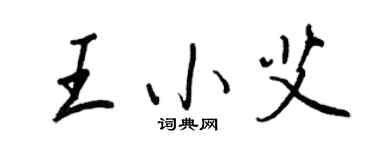 王正良王小艾行書個性簽名怎么寫