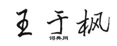 駱恆光王于楓行書個性簽名怎么寫