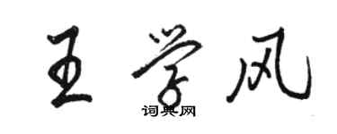 駱恆光王學風行書個性簽名怎么寫