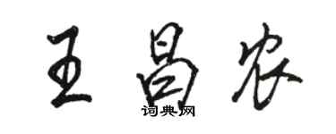 駱恆光王昌農行書個性簽名怎么寫