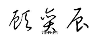 梁錦英顧奕辰草書個性簽名怎么寫