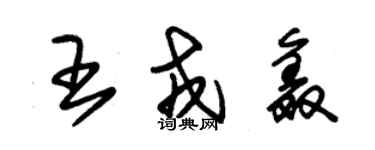 朱錫榮王戎鑫草書個性簽名怎么寫