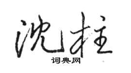 駱恆光沈柱行書個性簽名怎么寫
