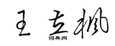 駱恆光王立楓草書個性簽名怎么寫