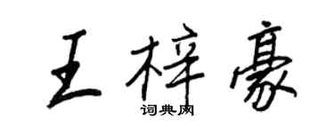 王正良王梓豪行書個性簽名怎么寫