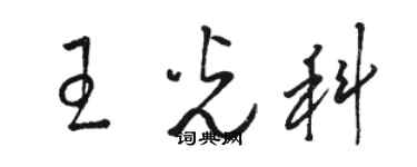 駱恆光王光科草書個性簽名怎么寫