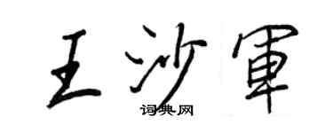 王正良王沙軍行書個性簽名怎么寫