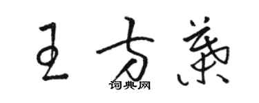 駱恆光王方葉草書個性簽名怎么寫