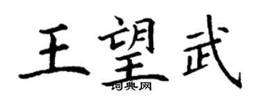 丁謙王望武楷書個性簽名怎么寫