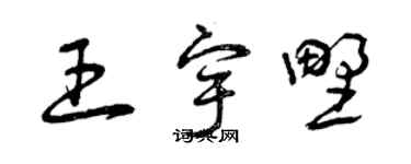 曾慶福王宇野草書個性簽名怎么寫
