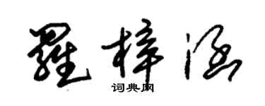 朱錫榮羅梓涵草書個性簽名怎么寫