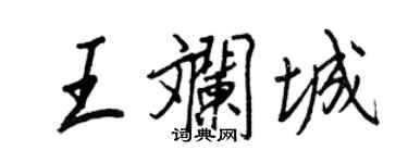 王正良王斕城行書個性簽名怎么寫