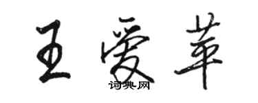 駱恆光王愛苹行書個性簽名怎么寫