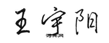 駱恆光王宇陽行書個性簽名怎么寫