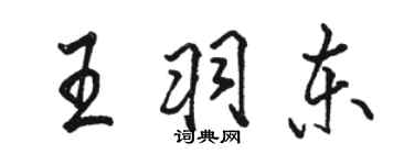 駱恆光王羽東行書個性簽名怎么寫