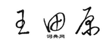 駱恆光王田原草書個性簽名怎么寫