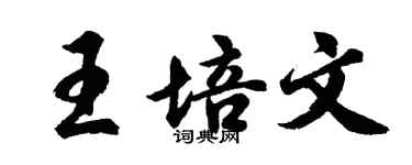 胡問遂王培文行書個性簽名怎么寫