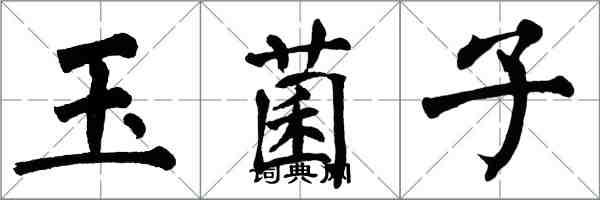 翁闓運玉菌子楷書怎么寫