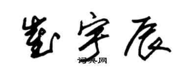朱錫榮崔宇辰草書個性簽名怎么寫