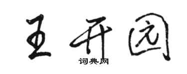 駱恆光王開園行書個性簽名怎么寫