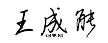 王正良王成能行書個性簽名怎么寫