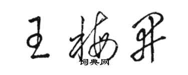 駱恆光王梅開草書個性簽名怎么寫