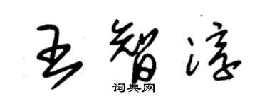 朱錫榮王智淳草書個性簽名怎么寫