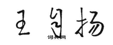 駱恆光王自揚草書個性簽名怎么寫