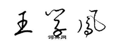 梁錦英王學鳳草書個性簽名怎么寫