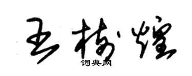 朱錫榮王樹煌草書個性簽名怎么寫