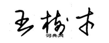 朱錫榮王樹才草書個性簽名怎么寫