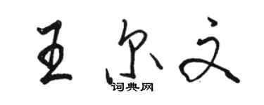 駱恆光王爾文行書個性簽名怎么寫