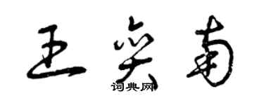 曾慶福王奕南草書個性簽名怎么寫