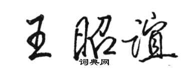 駱恆光王昭誼行書個性簽名怎么寫