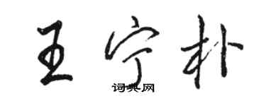 駱恆光王寧朴行書個性簽名怎么寫