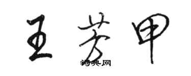駱恆光王芳甲行書個性簽名怎么寫