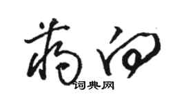 駱恆光蔣向草書個性簽名怎么寫