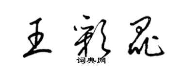 梁錦英王彩昆草書個性簽名怎么寫