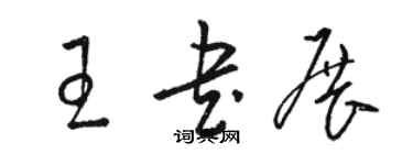 駱恆光王書展草書個性簽名怎么寫