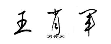 梁錦英王肖軍草書個性簽名怎么寫