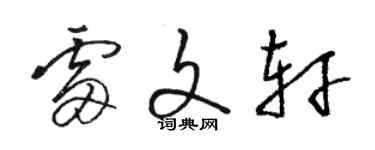 駱恆光雷文軒草書個性簽名怎么寫