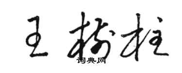 駱恆光王樹柱草書個性簽名怎么寫
