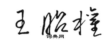 駱恆光王昭權草書個性簽名怎么寫